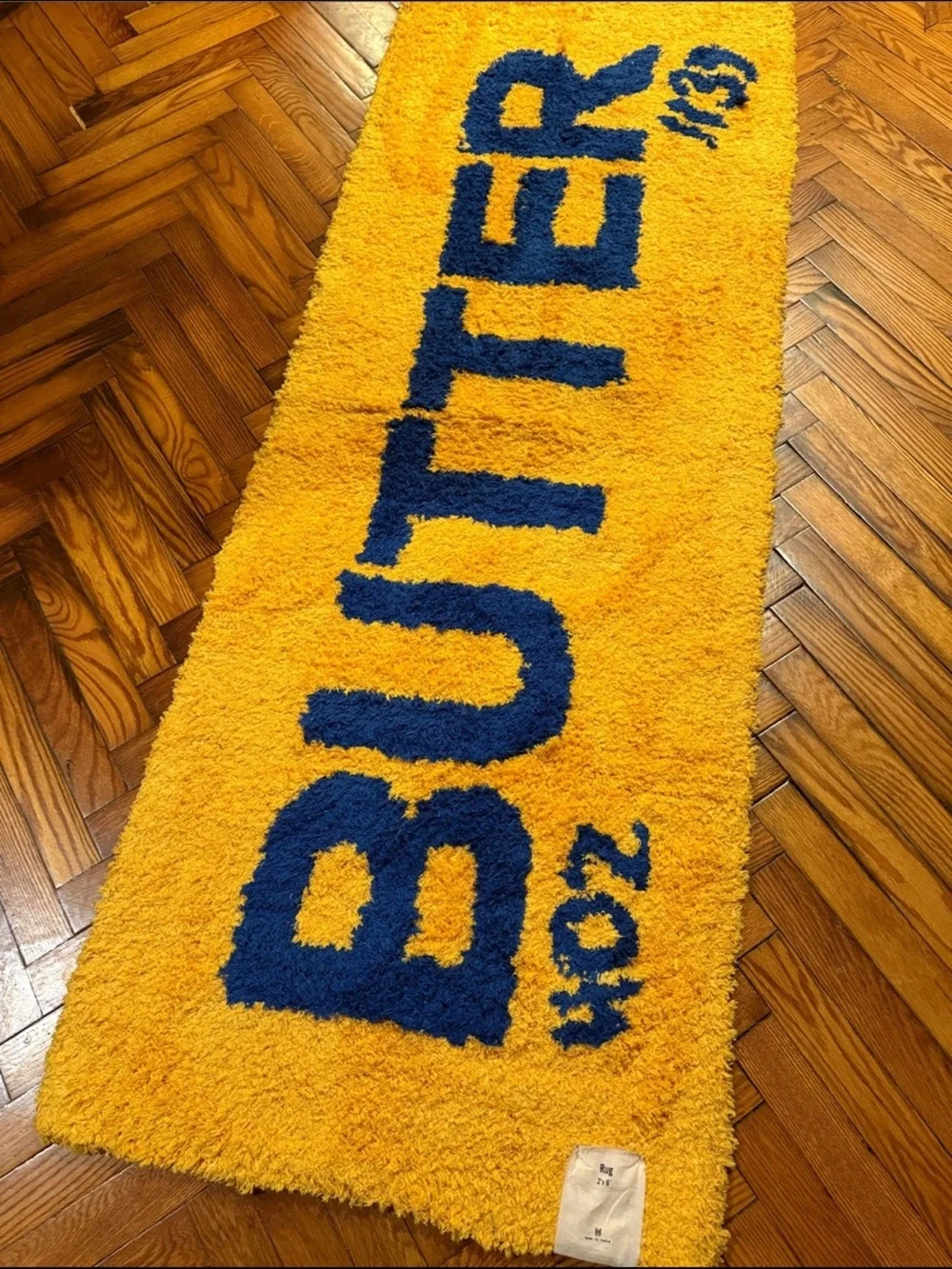 Urban Outfitters Butter Tufted Shag Rug 2X6